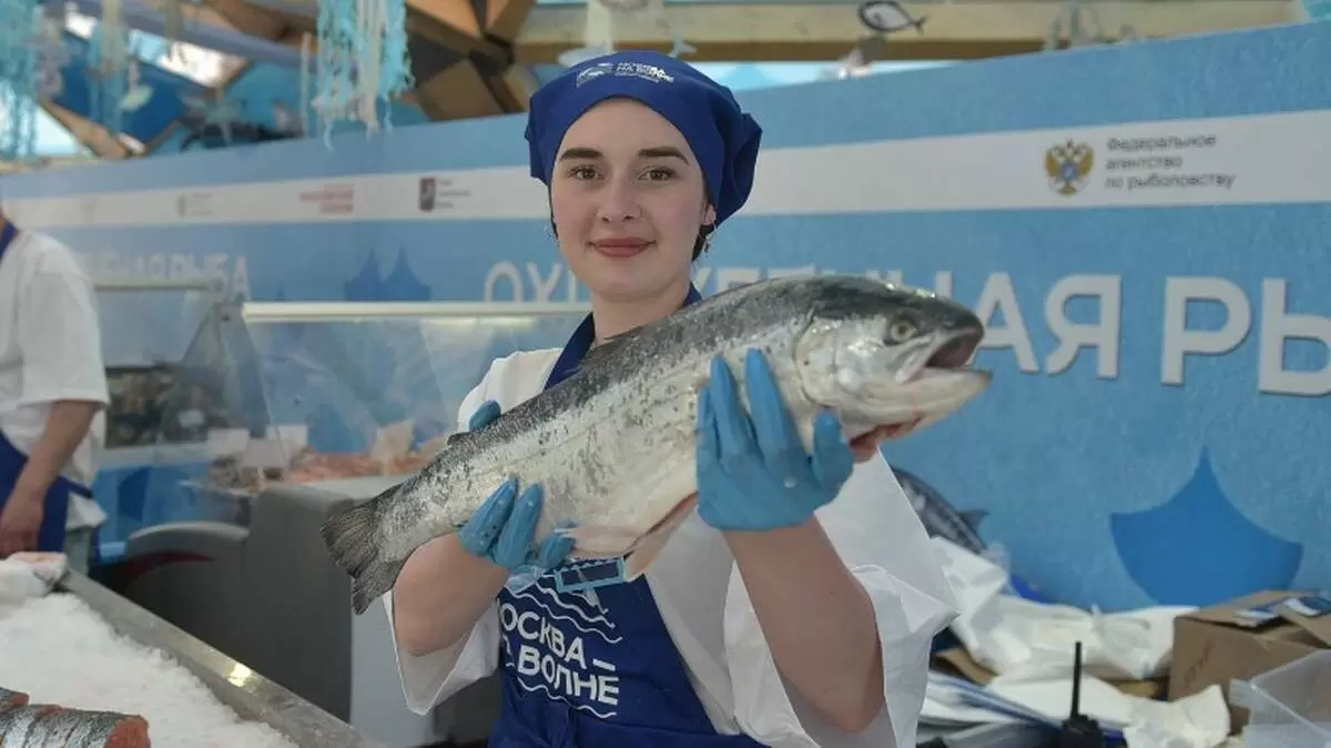 Как распознать свежесть рыбы: важные советы для покупателей