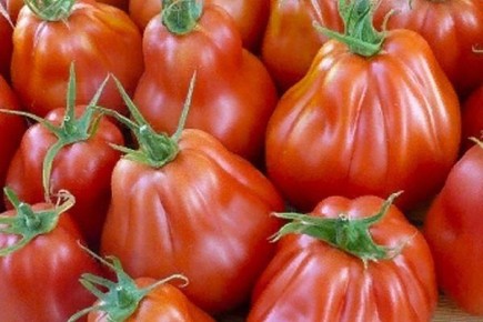 �������� �������� ������ ��������� � ������� ��� �����������