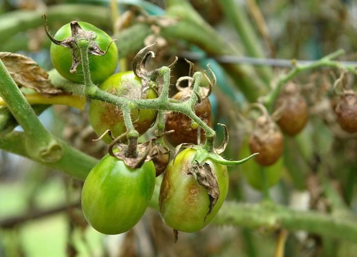 ��� � ������� ������������� ��������� ������: ���� ��� ��������