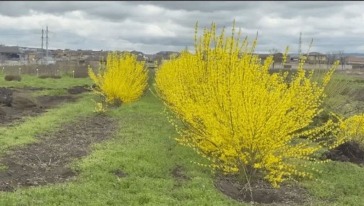 � ������� ���������� ���������� � ���������� ���������� ����� ������ �� ��������� ���������