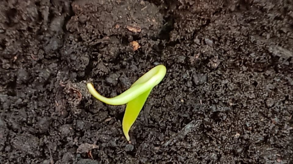 ��� ������� ����� ������� ������� � ������: �������� ������ ��� ���������