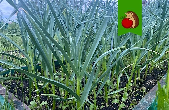 ������ � ����� �� ������ ��������: ��� �������� ������ � ������ �������