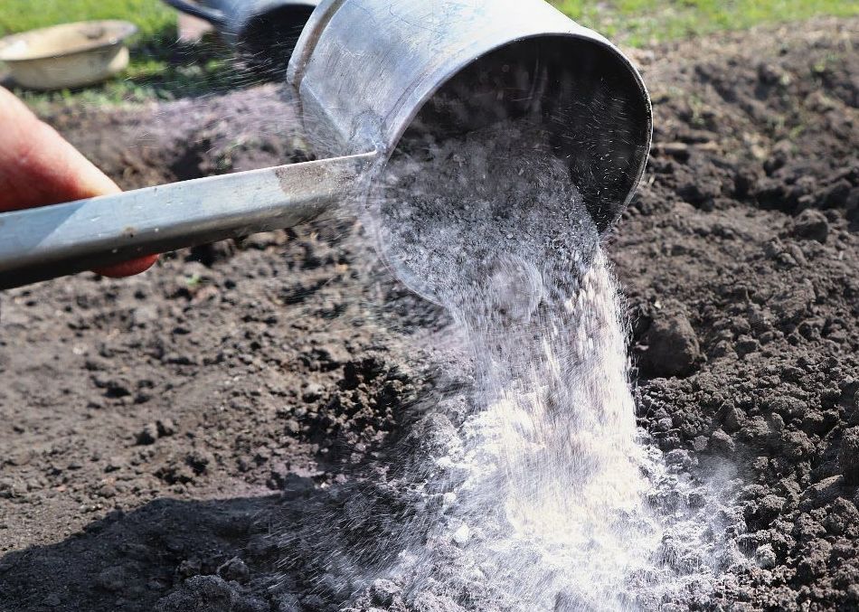 ������������ ���������: ������� ������� ��� ������� ������