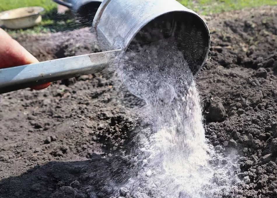 Естественные удобрения: осенние секреты для щедрого урожая