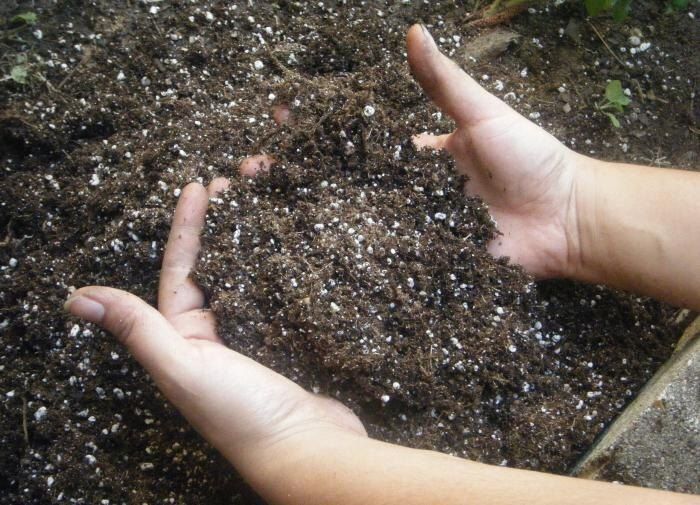 ��� ��������� ������� ��������� �����: ������� ��� ���������