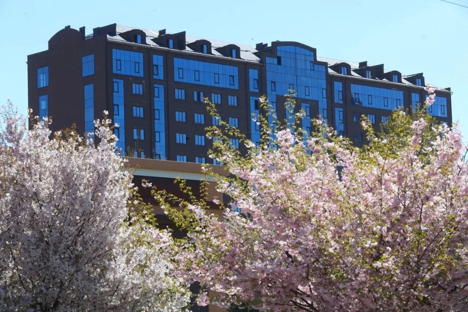 ������������ ������������ �������������