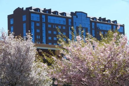 Поздравление Председателя Правительства