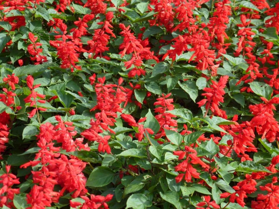 ���-17 �������������� ������������� ��� �������� ��������� ��� � ����� ����