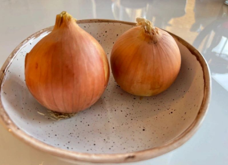 ��� ������ � ����� �������� ��� ��� ������: ������� ����������