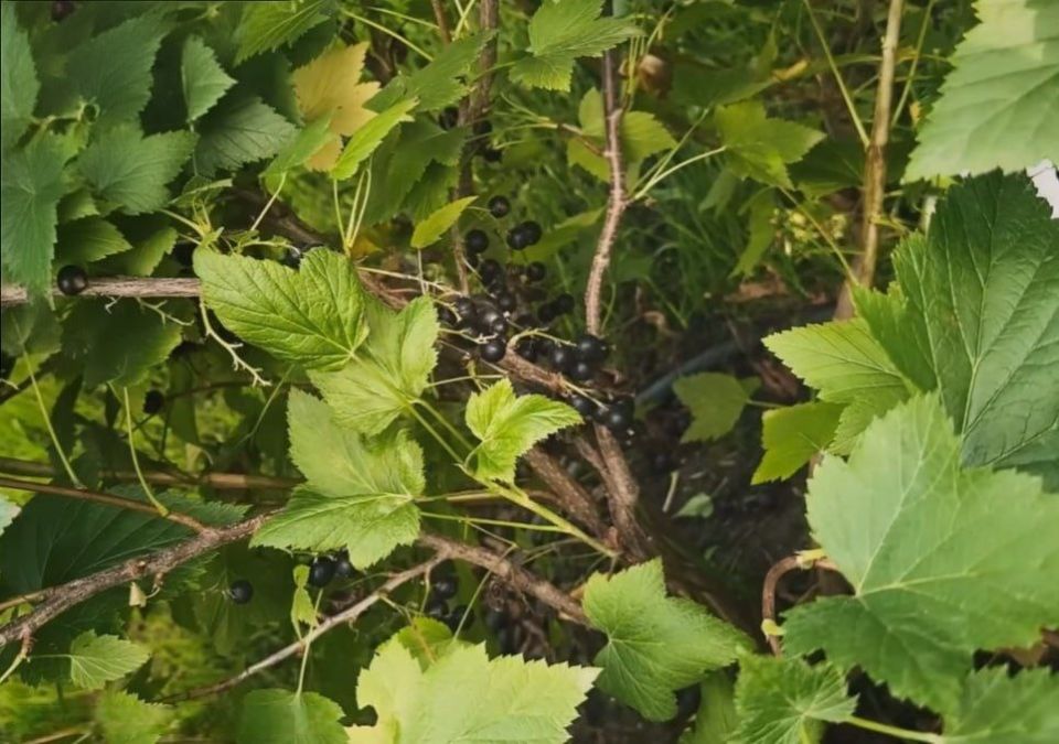 ��� ������� ������ ��� ���������, ������� ������� ��������� ������!