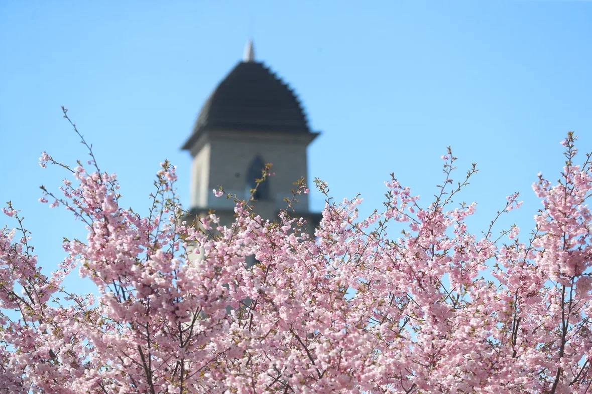 Сегодня, 15 апреля, нашей столице - городу Магасу - исполняется 32 года Сегодня, 15 апреля, нашей столице - городу Магасу - исполняется 32 года