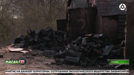 В сельском поселении Сурхахи Ингушетии местные жители забили тревогу из-за вырубки леса