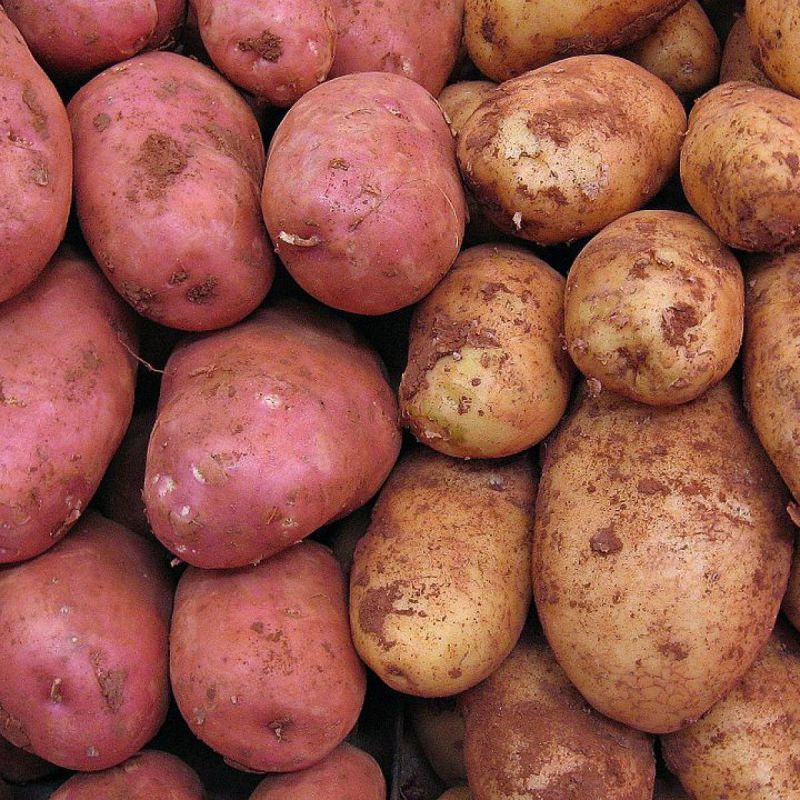 ��� �������� ������ ��� ����������� ���������: ������� �������� �����������