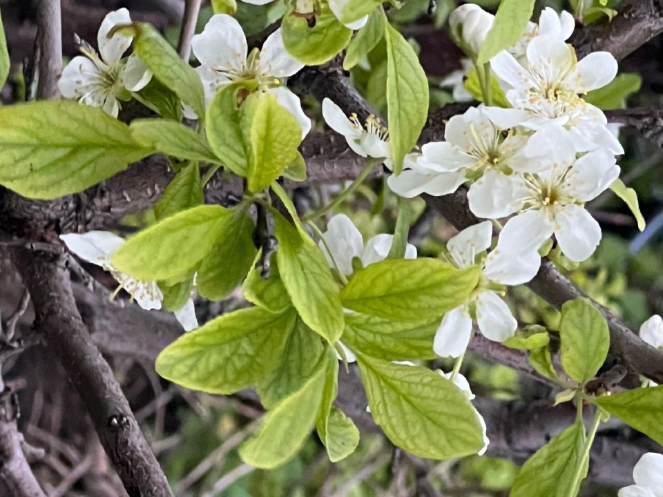 ������ �� ��������� �������? �������, ��� �������� ����� �������� ������ � ����� ��������!