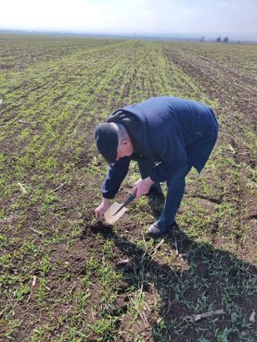 ����������� ���������� 200 �������� ����� � ��������� ��� ������ � ���������