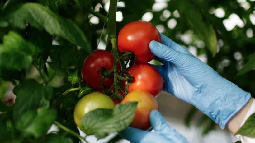 ����������� ������ ��� ���������� ������ ���������