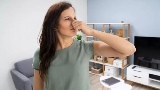 ��� ���������� � ������������������ ����������� ���������� �������� ������� � ��������