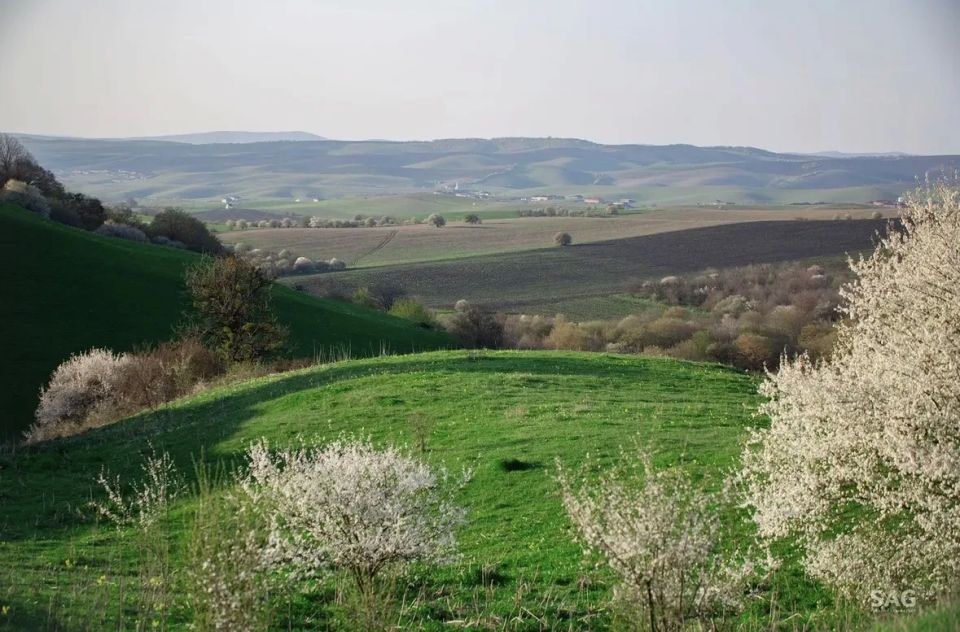 ������ ����, ������ ���������!