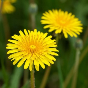 ���������: �� ������������ ������� �� ��������� � ��������� ����������