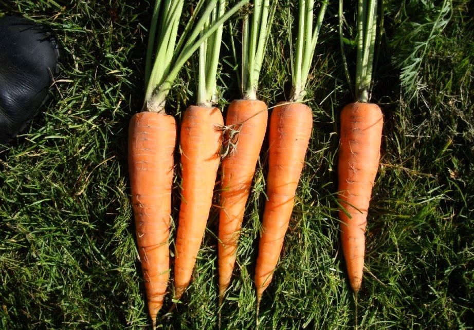 ������ � ��������� �����: ������� ������ �� ���������