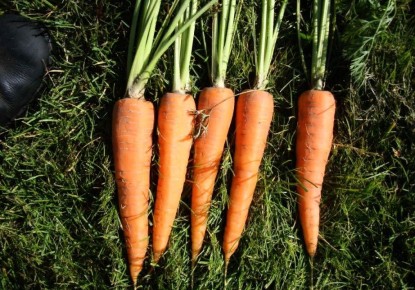 ������ � ��������� �����: ������� ������ �� ���������