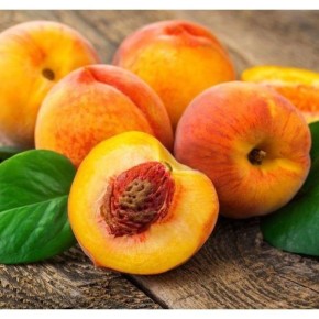 �������� ������� ��������: ������� ��������������� � ���������� �����