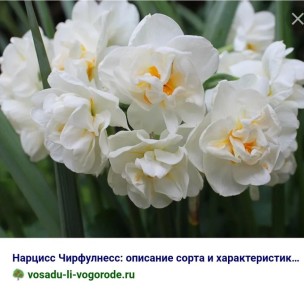 ��������: ������ ����� ��������� ����!