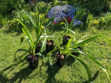 ������������: ��� �������� ������ ��� ������� � ��� �� ����