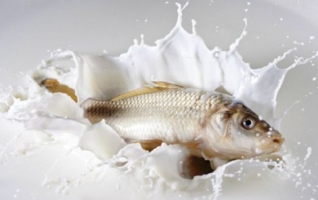 ���� � ��������� ���� � �������: ��� �� ����� ���� ������ ������ ��������?