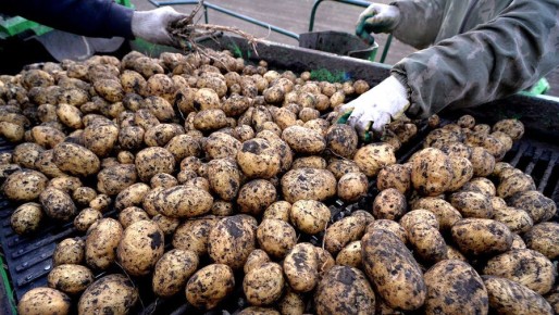 ���� ������� ���������� �������, �������� �������� �� �����