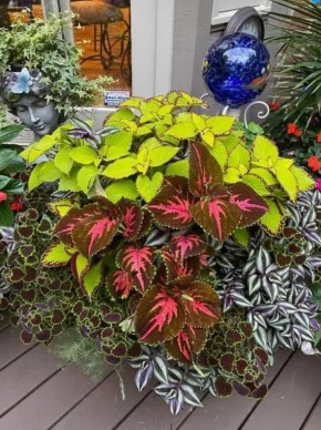 ������������ �������� ������ � �������� ��������� ������