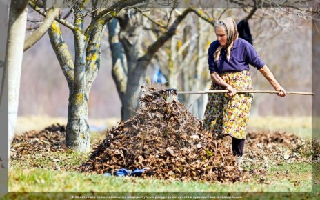 ������� ������ ��������: �������� ������ ��� ��������� ���������� ������� ������