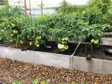 ������� ����� �� �������� � ����: ����������� ��������� � ������ �� ��������