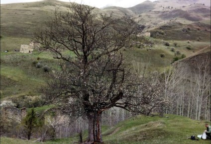 ����� 216-������ ����� �� ��������� ������� �� ������ ������� ����