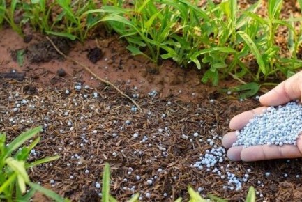 ��� �������� ������ ��� ���������� ���������