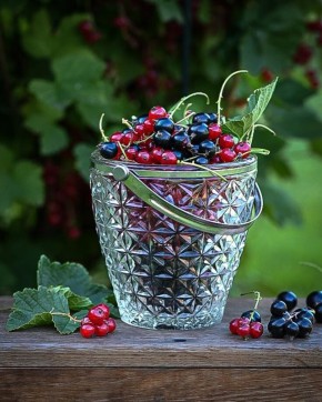 ������ �� ���������: ����������� ���� ���� � ������ �����