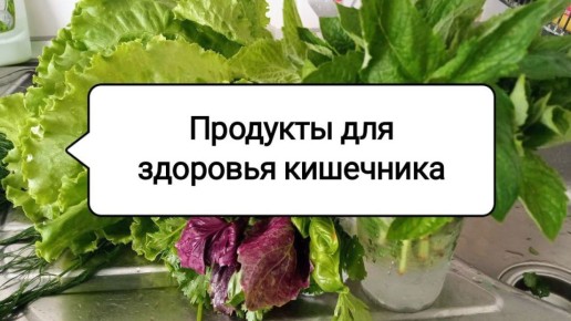 ����� ��� �������� ���������: ������� �������� ���������� � �������� ������������