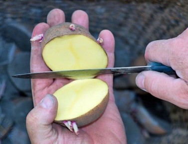 ����� �� ������ ������ ��������� ����� ��������: ��� ����� �����