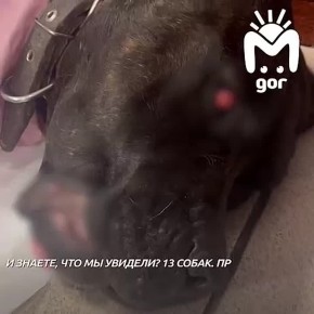������� �������� � ������� ��������� ����� �������� �� ������������ ����� ����, ��� ������� ������ � ��������