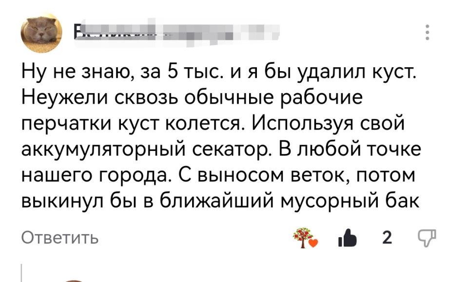 Штраф за выброс садового мусора: что нужно знать садоводам в 2025 году