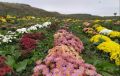 � ��������� ����� ������� ������ �������� � ����� �������� ����