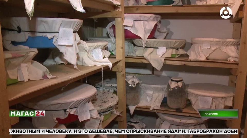 Аграрии Ингушетии переходят с агрессивной химии на биозащиту растений