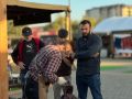 � ������, � �������� ����� ��������, ����������� ���������� ����-�������