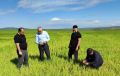 Специалисты Россельхозцентра Ингушетии провели обследование посевов