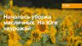 Неурожай на юге: уборка масличных культур началась с тревожных новостей