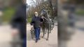 ���� ��������� ��������������� �� ��������� ������������ ������� � ��������� ������ � �����������