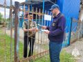 Дети у воды без присмотра — под особым контролем спасателей