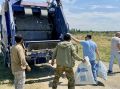 Весь собранный мусор оперативно вывезен силами регионального оператора ООО «ЭкоЛайф»