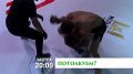 "Потолкуем?". Не пропустите новый выпуск программы "Потолкуем?", где в гостях у нас — талантливый боец ММА Наиб Яндарханов! Наиб поделится своим опытом полугодовых изнурительных тренировок в Таиланде, которые помогли ему...