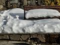 Зимняя оттепель: защитите свой сад от неожиданных угроз